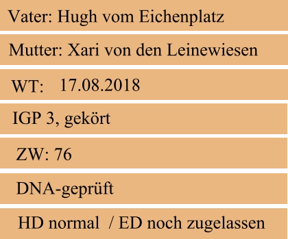 WT:  ZW: 76 IGP 3, gekört DNA-geprüft   HD normal  / ED noch zugelassen    Mutter: Xari von den Leinewiesen Vater: Hugh vom Eichenplatz  17.08.2018