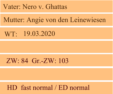 WT:  ZW: 84  Gr.-ZW: 103   HD  fast normal / ED normal Mutter: Angie von den Leinewiesen Vater: Nero v. Ghattas 19.03.2020